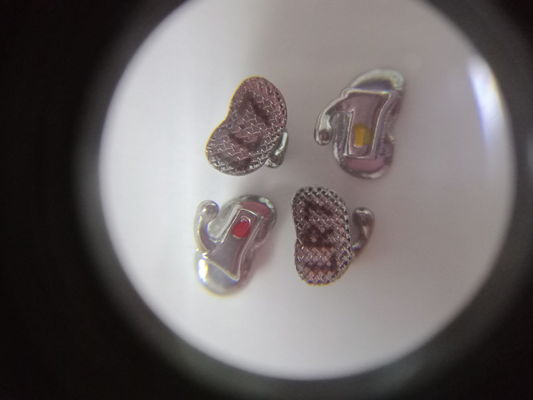 Tubos bucais dentários convertíveis ortodônticos com certificação CE e longa vida útil
